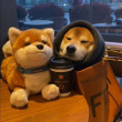 ͷ��