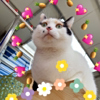 ͷ