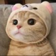 ͷ��