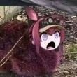 ͷ��
