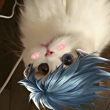 ͷ