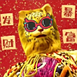 ͷ