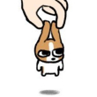 ͷ��