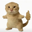 ͷ��
