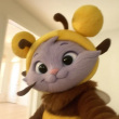 ͷ��