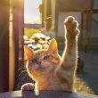 ͷ��