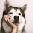 ͷ��