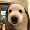 ͷ