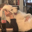 ͷ��