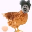ͷ��