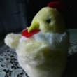 ͷ