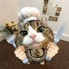ͷ��