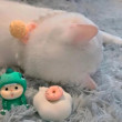 ͷ