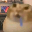 ͷ��
