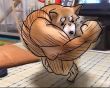 ͷ��