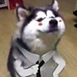 ͷ
