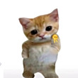 ͷ