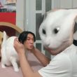 ͷ��