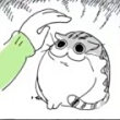 ͷ