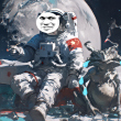 ͷ