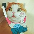 ͷ