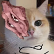 ͷ