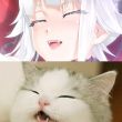 ͷ��