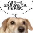 ͷ��