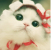 ͷ��