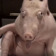 ͷ��