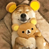 ͷ