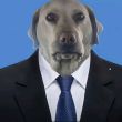 ͷ��