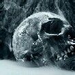 ͷ��
