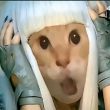 ͷ��