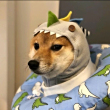 ͷ