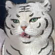 ͷ