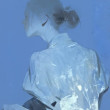 ͷ