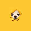 ͷ