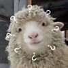ͷ