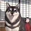ͷ