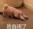 ͷ��
