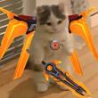 ͷ