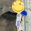 ͷ
