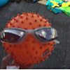 ͷ