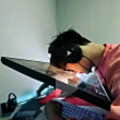 ͷ