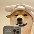 ͷ