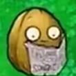 ͷ