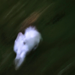 ͷ��