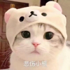 ͷ��