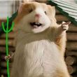 ͷ��